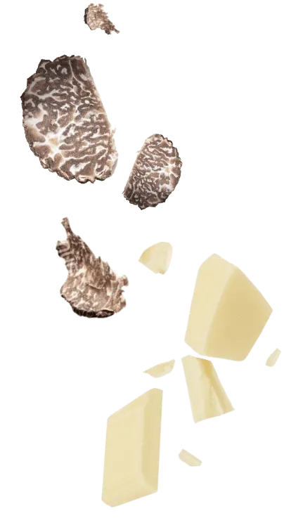 トリュフとホワイトチョコレート